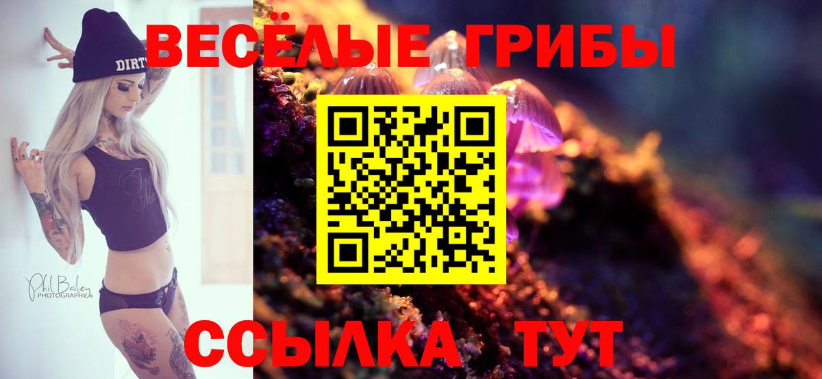 Псилоцибиновые грибы мухоморы  Галлюциногенные грибы прущие грибы  купить   Дербент  Вход с VPN 